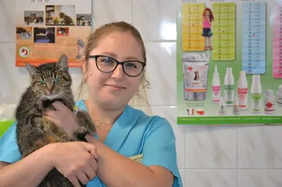 Centrum Zdrowia Małych Zwierząt